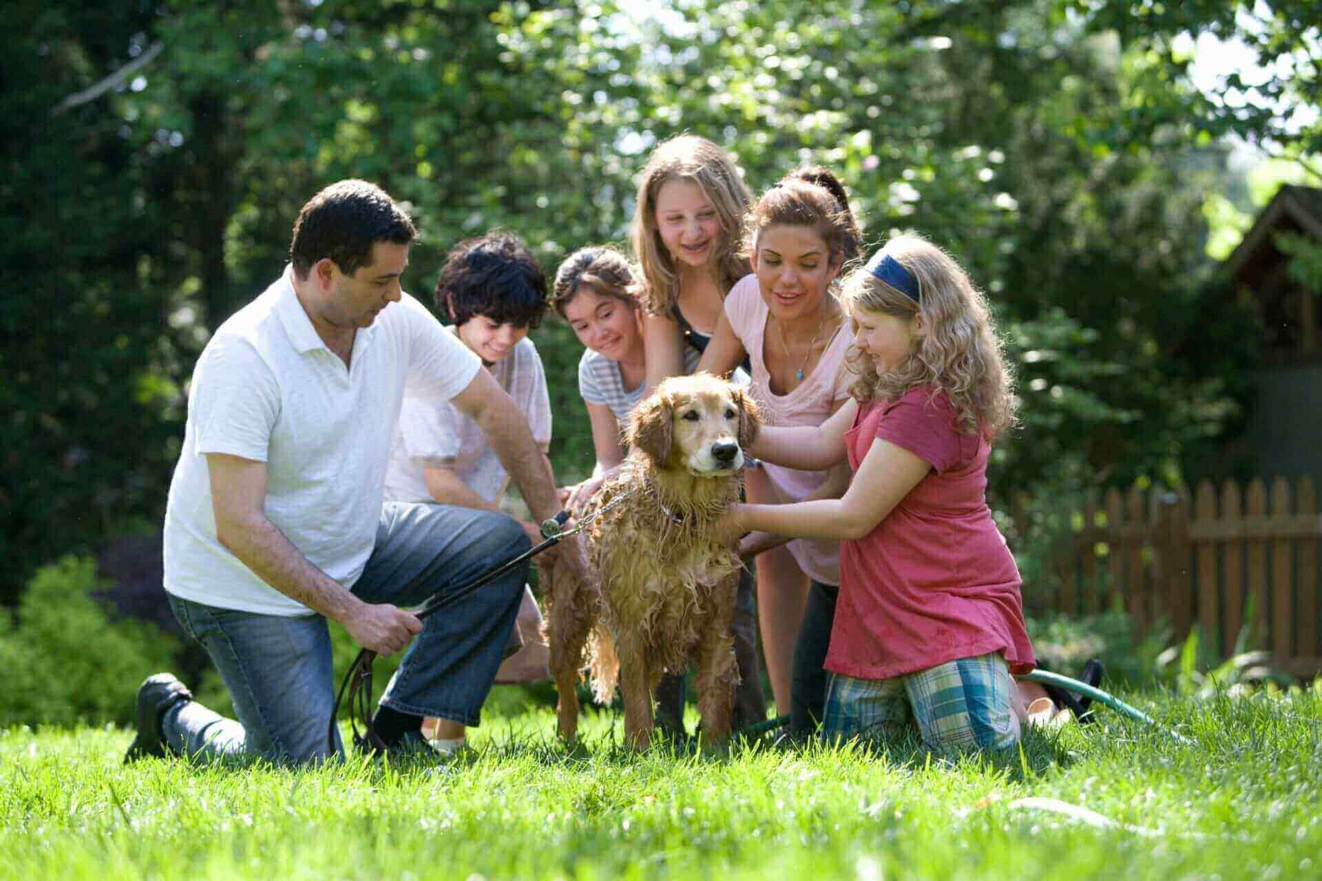 ข้อแตกต่างระหว่าง ลิฟต์บ้าน กับ ลิฟต์บันได 24 family-dog-garden-playing