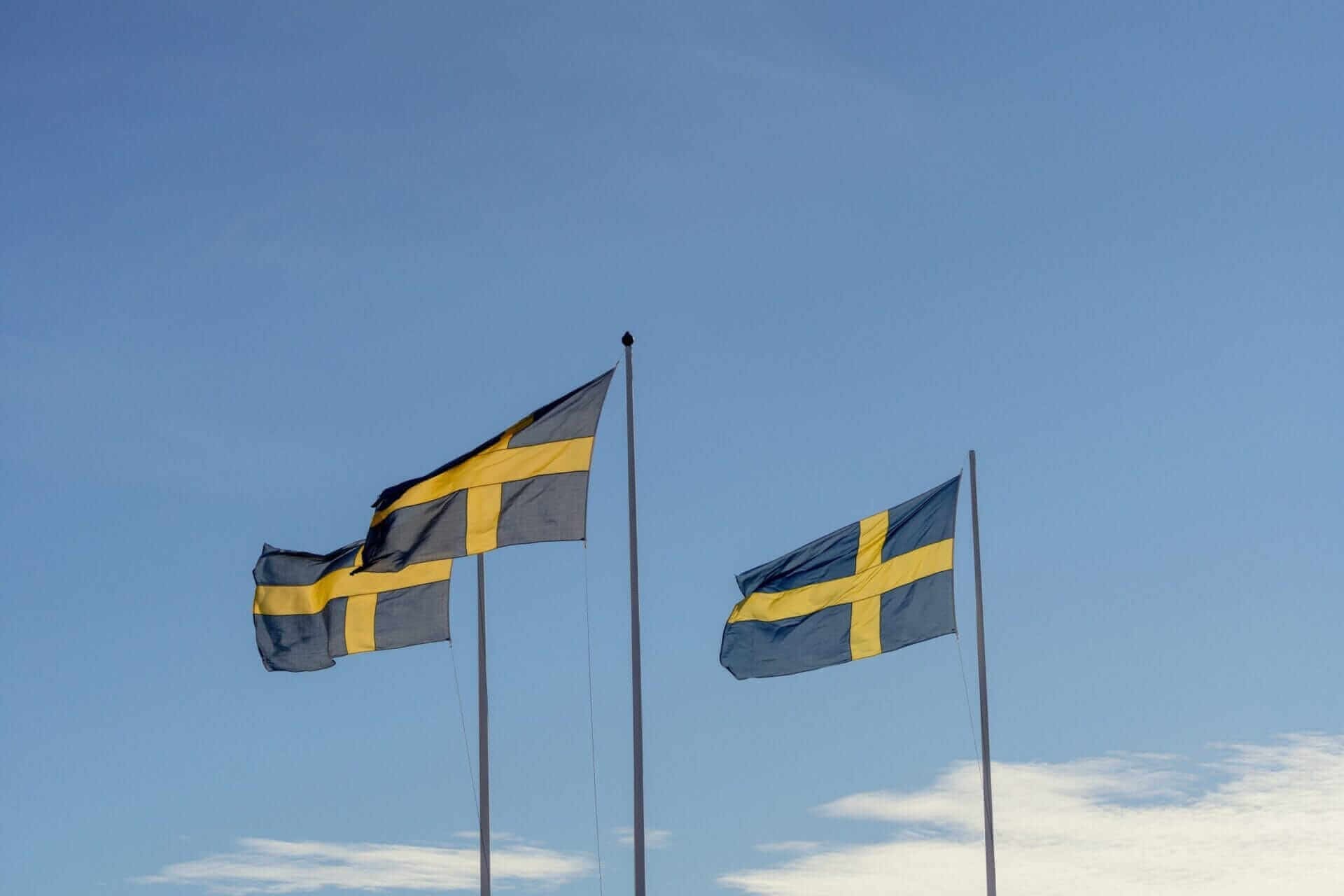 ลิฟท์แบบ"แพลตฟอร์ม"คืออะไร 23 sweden-flags