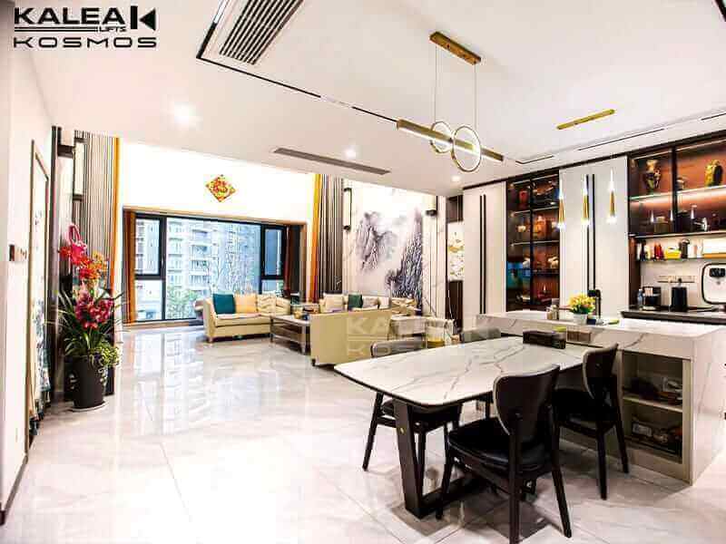 home lift elevator kalea copy70