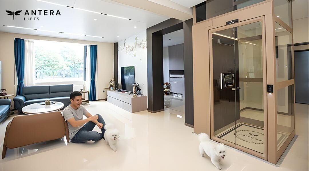 6 the lastest new technology with Antera home lift 6 the lastest new technology with Antera home lift