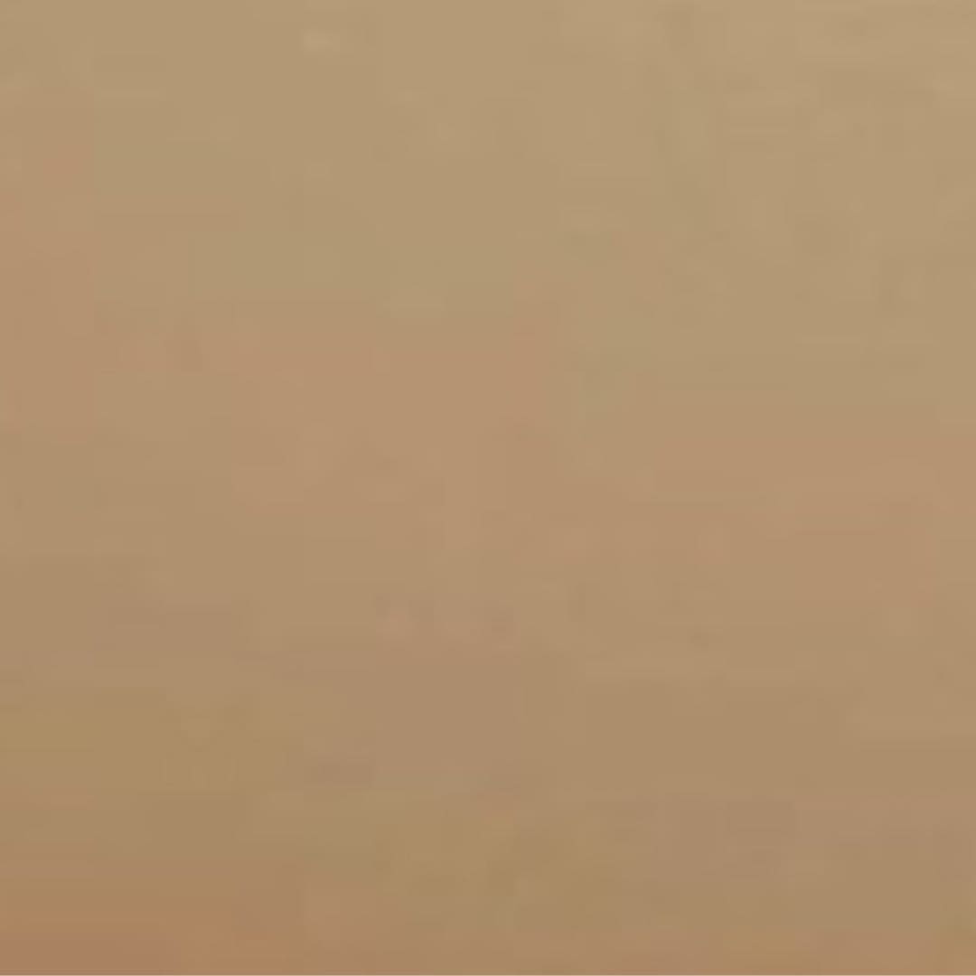 Oriental Grey Beige.jpg